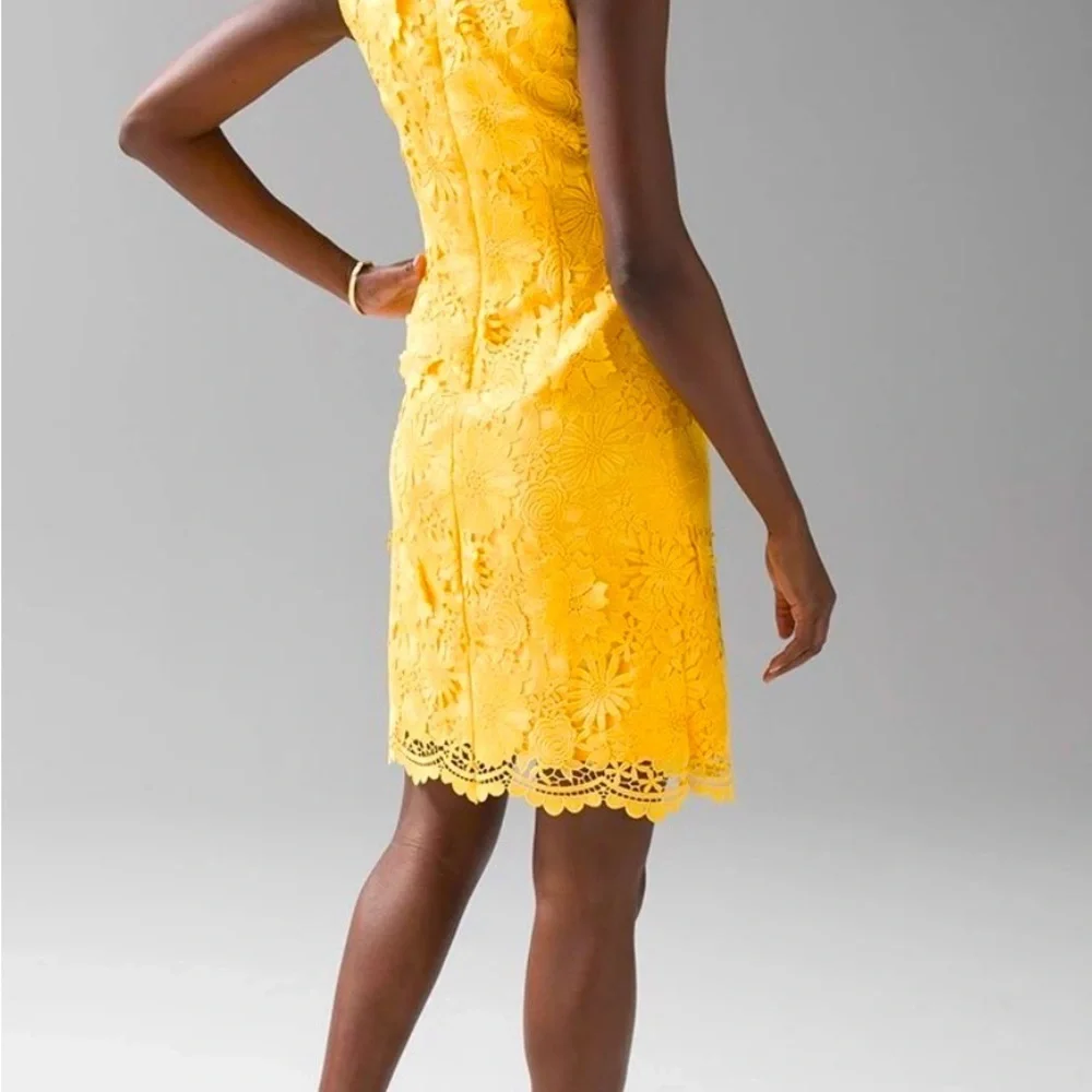 NWT WHBM Lace shift dress 6 Spring Easter Parade Lace Boho HAPPY Chic Bohemian - Picture 9 of 10